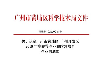 奔跑、跳跃我不停歇，尊龙凯时 - 人生就是搏!入选瞪羚培育企业！